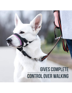 Arnés de Cabeza GoodBoy para Perros - Tamaño 3 Rosa 2