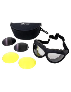 Gafas de Motocicleta Birdz Eyewear Buzzard Kit Anti-Niebla