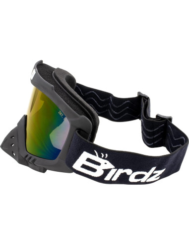 Gafas de protección Birdz Toucan para motociclismo y esquí