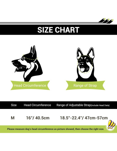 Conjunto Gafas y Casco para Perros BillionChains Negro