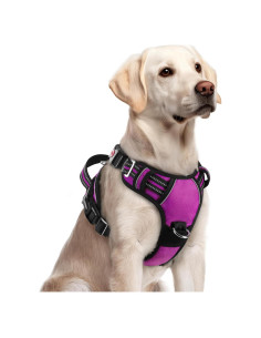 Arnés para Perros Rabbitgoo Grande Morado Ajustable y Acolchado