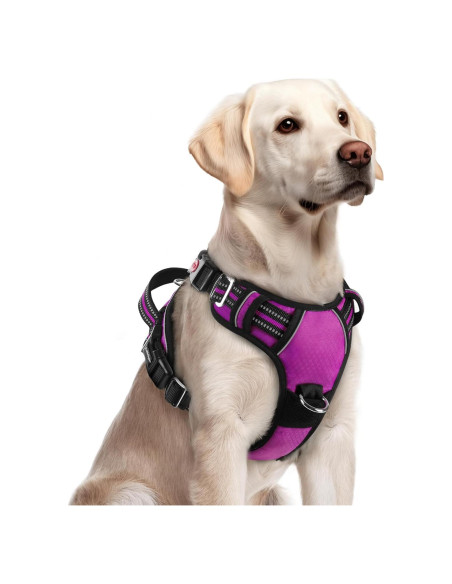 Arnés para Perros Rabbitgoo Grande Morado Ajustable y Acolchado