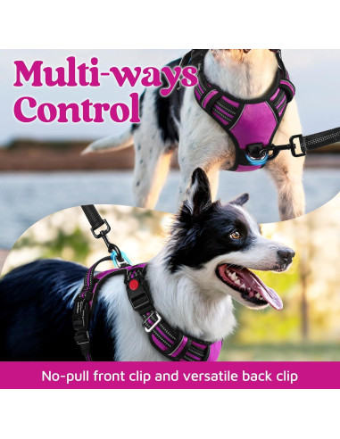 Arnés para Perros Rabbitgoo Grande Morado Ajustable y Acolchado