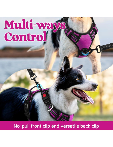 Arnés para Perros Rabbitgoo Grande Morado Ajustable y Acolchado