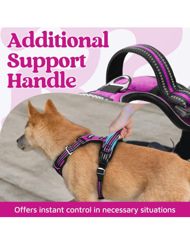 Arnés para Perros Rabbitgoo Grande Morado Ajustable y Acolchado