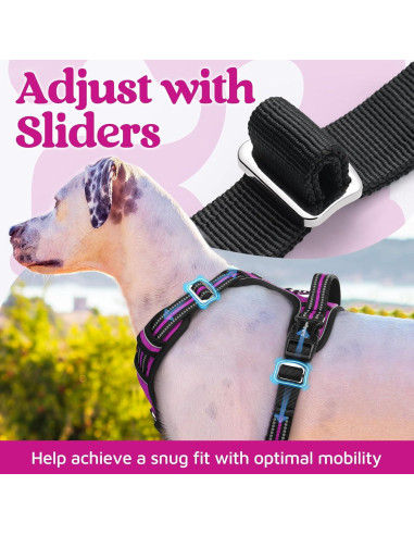 Arnés para Perros Rabbitgoo Grande Morado Ajustable y Acolchado