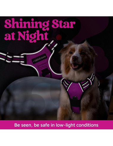 Arnés para Perros Rabbitgoo Grande Morado Ajustable y Acolchado