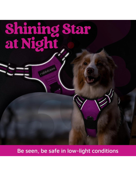 Arnés para Perros Rabbitgoo Grande Morado Ajustable y Acolchado