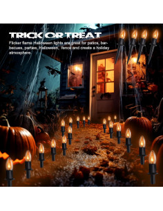 Luces de Cuerda de Llama Parpadeante C9 Beauty World 7.37m 2