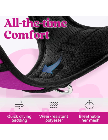 Arnés para Perros Rabbitgoo Grande Morado Ajustable y Acolchado