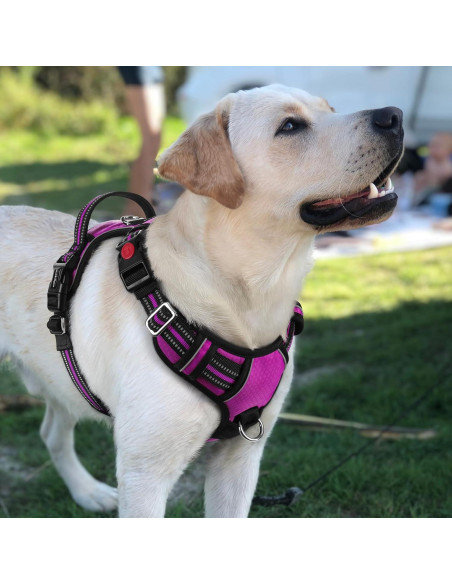 Arnés para Perros Rabbitgoo Grande Morado Ajustable y Acolchado