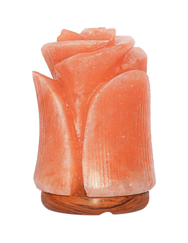 Lámpara de Sal Rosa del Himalaya Spantik Tulipán 15W
