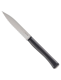 Cuchillo de Pelar Serrado OPINEL Intempora 10.16 cm Acero Carbono