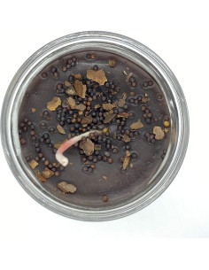 Vela de Vidrio Corta Machete 7 Días Marrón Decorativa 2