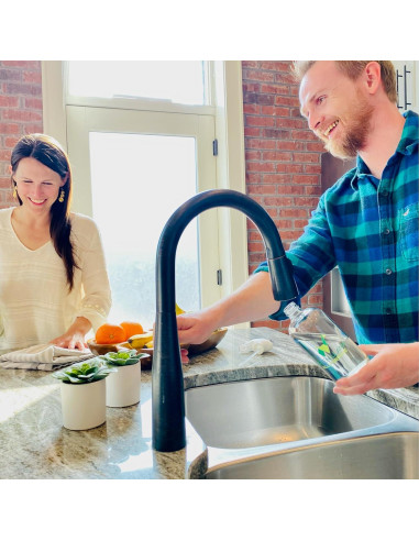 Spray Limpiador de Vidrio Green Llama 473ml + 3 Recargas Ecológicas