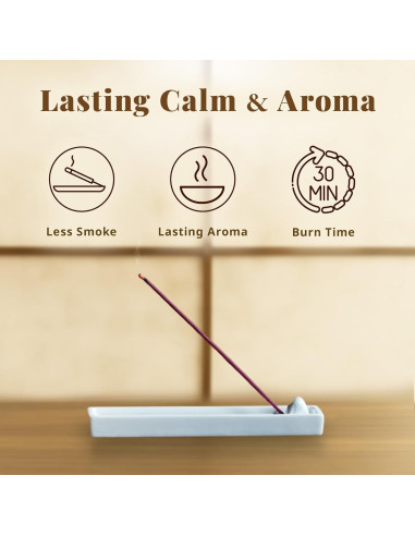 Incienso Hasegawa Sakura Bajo Humo 160g Almizcle Floral