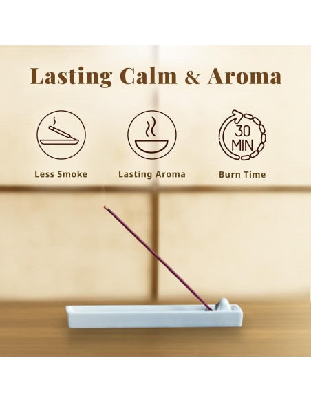 Incienso Hasegawa Sakura Bajo Humo 160g Almizcle Floral