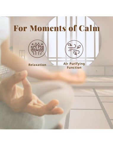 Incienso Hasegawa Sakura Bajo Humo 160g Almizcle Floral