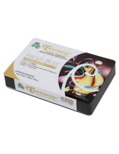 Ambientador Auto Dynasty 200g Aroma Calabaza Natural