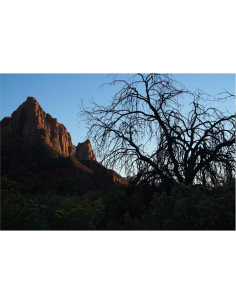 Lente Sony FE 50mm F1.4 GM para fotograma completo - Negro 2