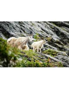 Lente Sigma 150-600mm F5-6.3 DG DN para montura L 2