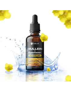 Extracto de Mullein FabLab 60 ml - Suplemento Respiratorio 2