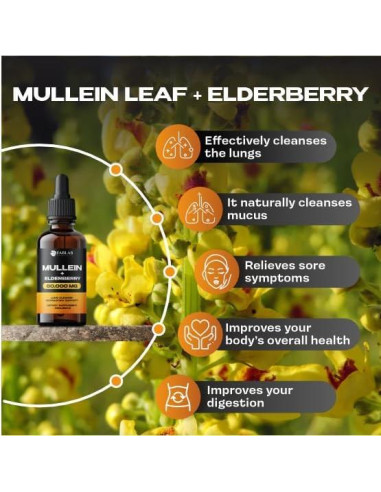 Extracto de Mullein FabLab 60 ml - Suplemento Respiratorio