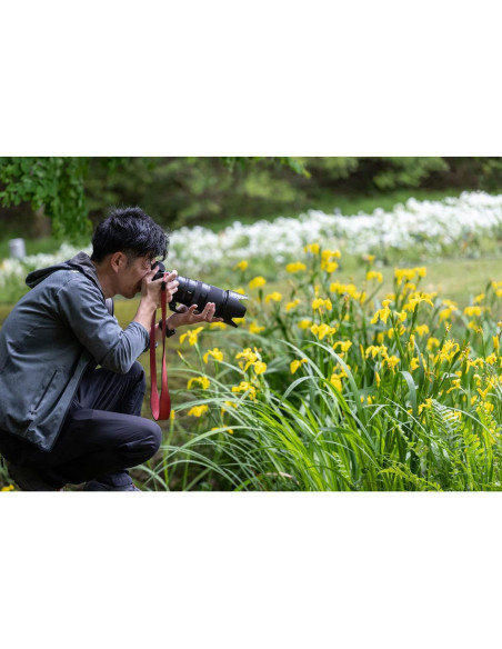 Lente Zoom Telefoto Nikon NIKKOR Z 100-400mm f/4.5-5.6 VR S