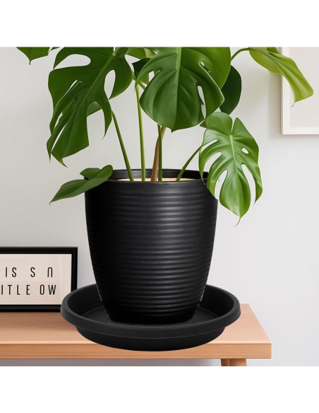 Plato para Plantas 15 cm Negro 5 Pack NIMYAU - Bandejas Recolectoras