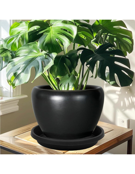 Plato para Plantas 15 cm Negro 5 Pack NIMYAU - Bandejas Recolectoras