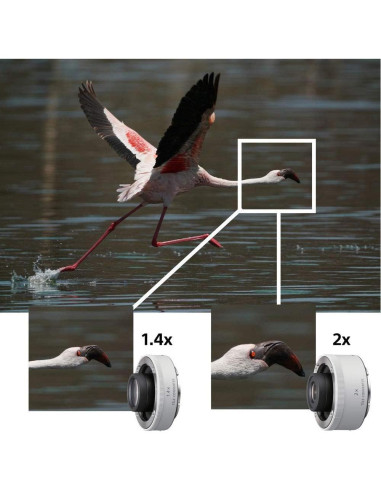 Lente Zoom Super-Telefoto Sony FE 200-600mm F5.6-6.3 G OSS