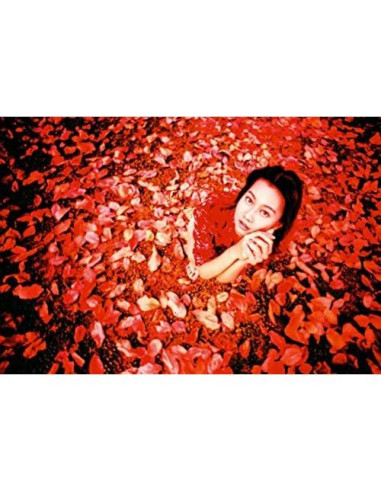 Cámara Lomografía LC-A+ con Lente Gran Angular 17mm