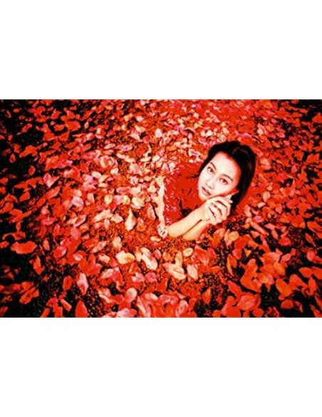 Cámara Lomografía LC-A+ con Lente Gran Angular 17mm