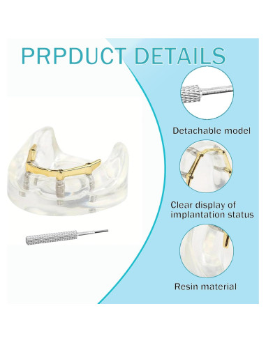 Modelo Dental Sobredentadura Kouyot Transparente 10.49x9.60cm