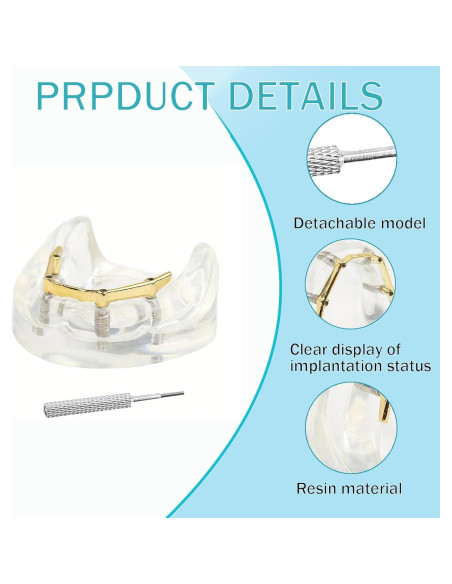 Modelo Dental Sobredentadura Kouyot Transparente 10.49x9.60cm
