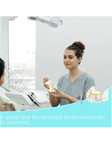 Modelo Dental Sobredentadura Kouyot Transparente 10.49x9.60cm