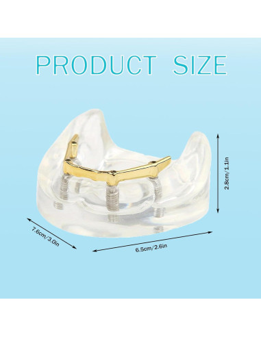 Modelo Dental Sobredentadura Kouyot Transparente 10.49x9.60cm