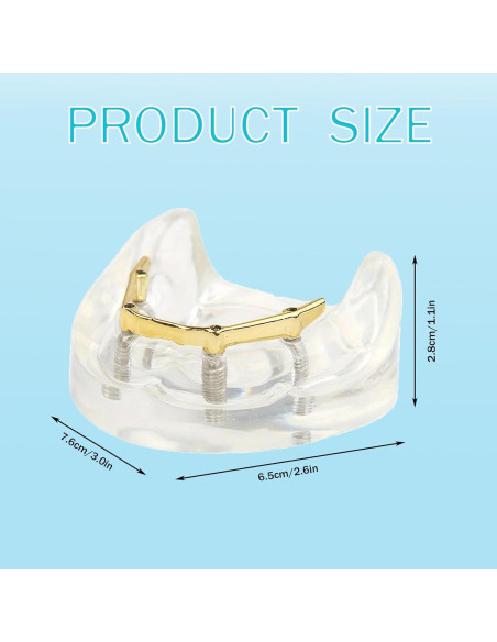 Modelo Dental Sobredentadura Kouyot Transparente 10.49x9.60cm