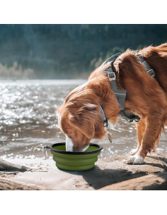Cuencos Plegables para Perros y Gatos COOYOO - 2 Unidades 2