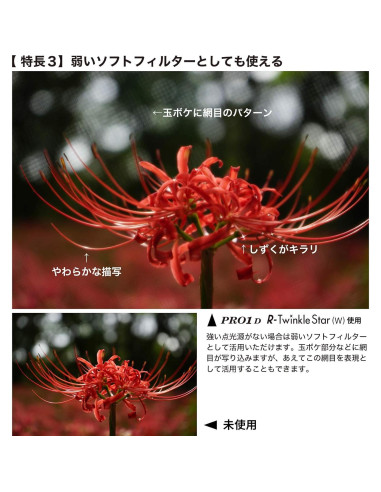 Filtro de Efecto Kenko PRO1D R-Twinkle Star 4-linea 67mm