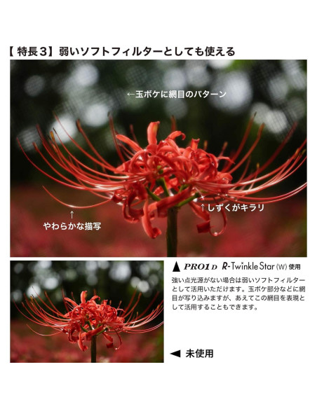 Filtro de Efecto Kenko PRO1D R-Twinkle Star 4-linea 67mm