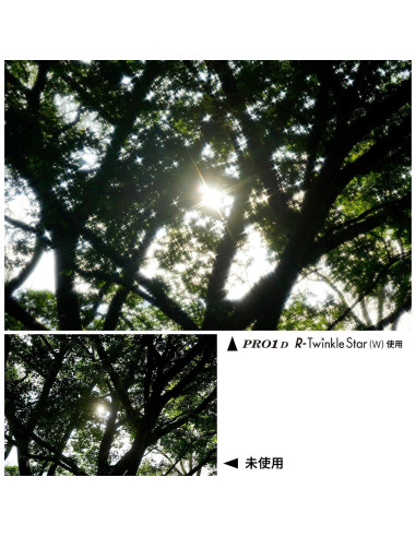 Filtro de Efecto Kenko PRO1D R-Twinkle Star 4-linea 67mm