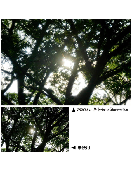 Filtro de Efecto Kenko PRO1D R-Twinkle Star 4-linea 67mm