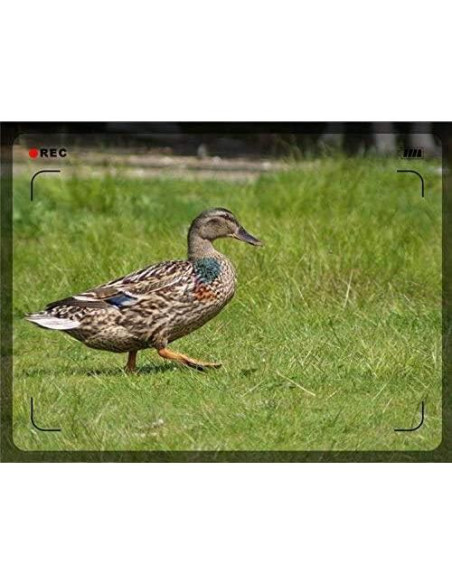 Lente Telefoto Canon PowerShot G3 X 2.2x HD con Adaptador