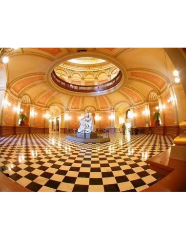 Lente Ojo de Pez 0.35x Hila para Canon VIXIA HF G60