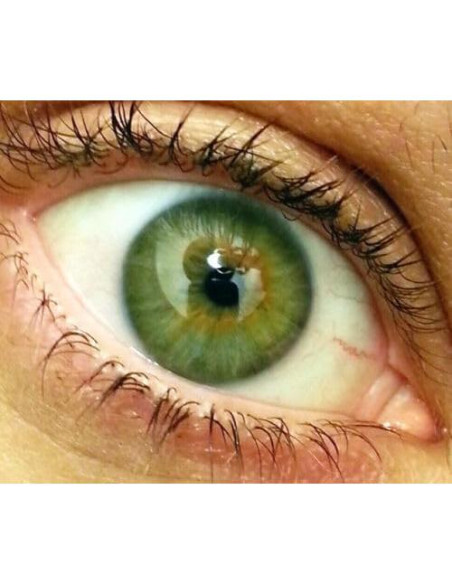 Lente Ojo de Pez 0.43X + Macro + 2 Baterías para Olympus TG4