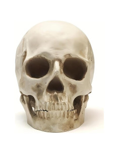 Calavera Humana de Resina SOACH 1:1 para Decoración Halloween