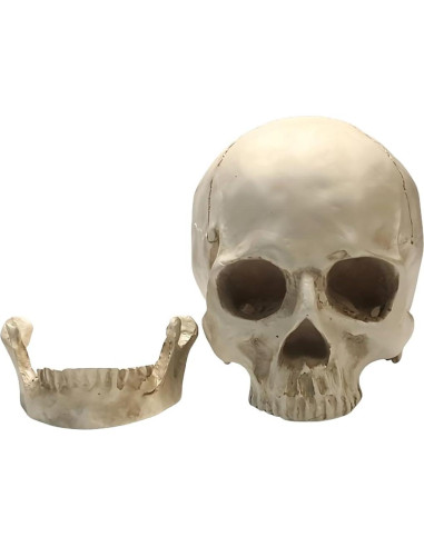 Calavera Humana de Resina SOACH 1:1 para Decoración Halloween
