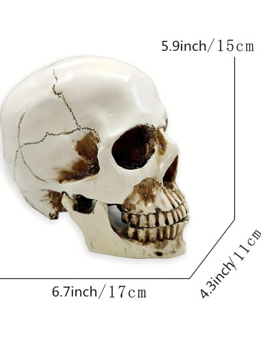 Calavera Humana de Resina SOACH 1:1 para Decoración Halloween