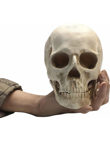 Calavera Humana de Resina SOACH 1:1 para Decoración Halloween